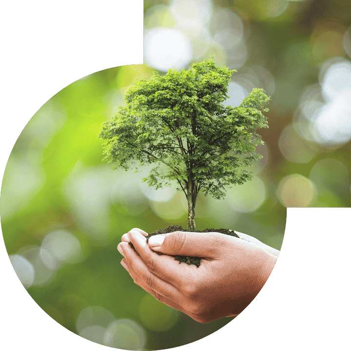 关怀人类、、、文化、、、环境与社会