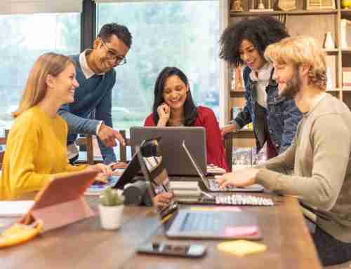 至成国际工作生活体验